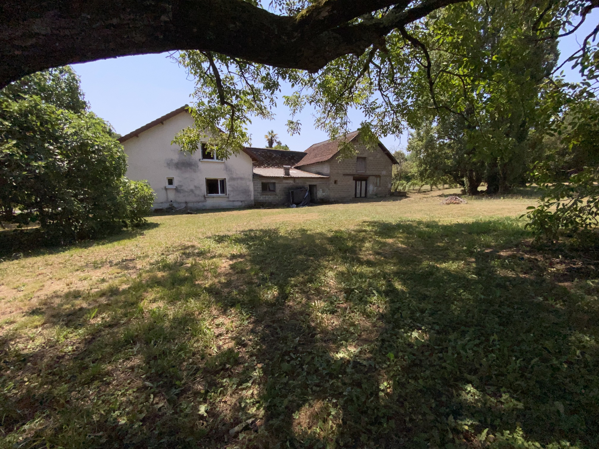 Ferme 10 hectares Monein